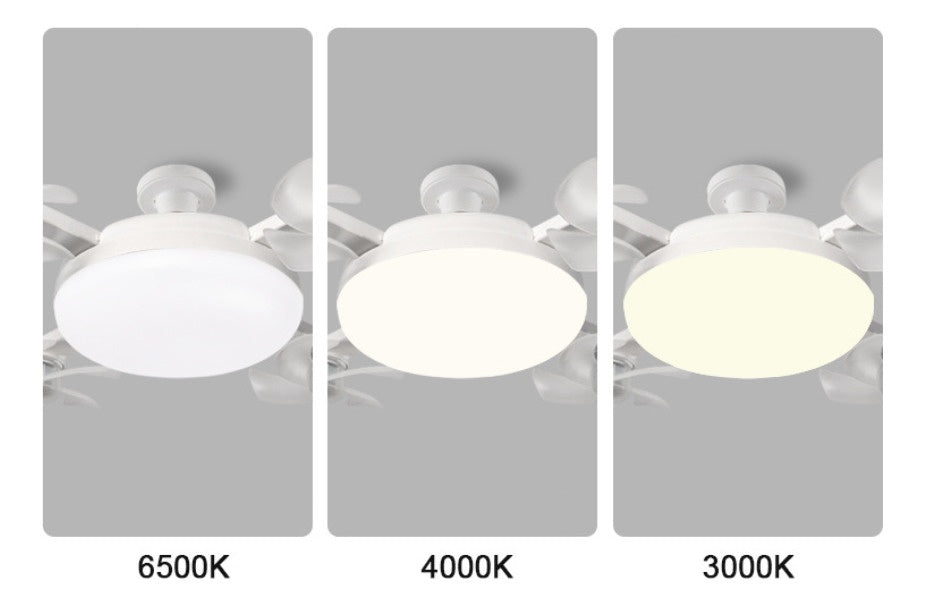 Ventilador de Teto LED com Controle Remoto e 3 Velocidades