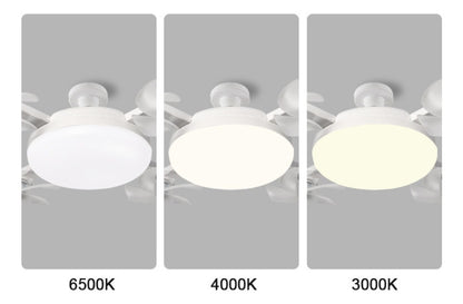 Ventilador de Teto LED com Controle Remoto e 3 Velocidades